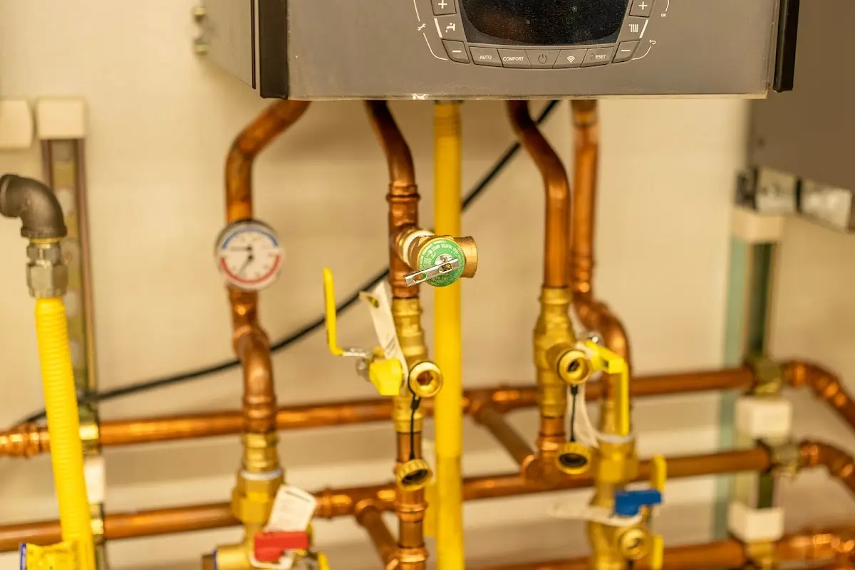 Licensed technician providing Emergency Plumbing for a homeowner in Tuskegee